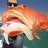 same fish